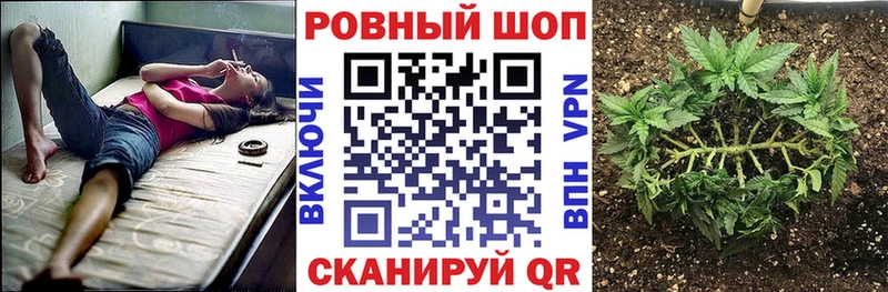 Купить наркотики Николаевск Амфетамин  ГАШИШ  Галлюциногенные грибы  hydra маркетплейс  Каннабис 