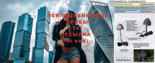 кокаин перу Рославль
